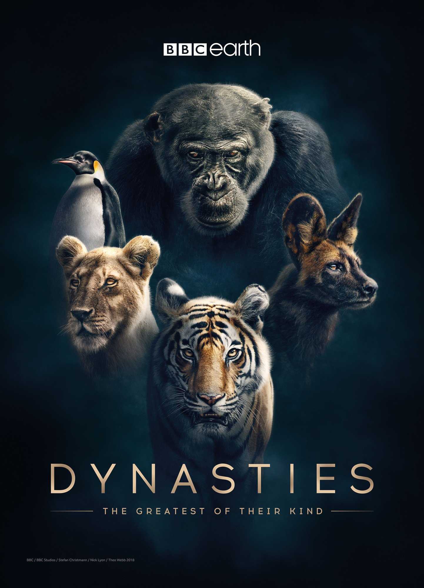 مشاهدة مسلسل Dynasties موسم 1 حلقة 2