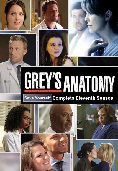 مشاهدة مسلسل Greys Anatomy موسم 11 حلقة 19