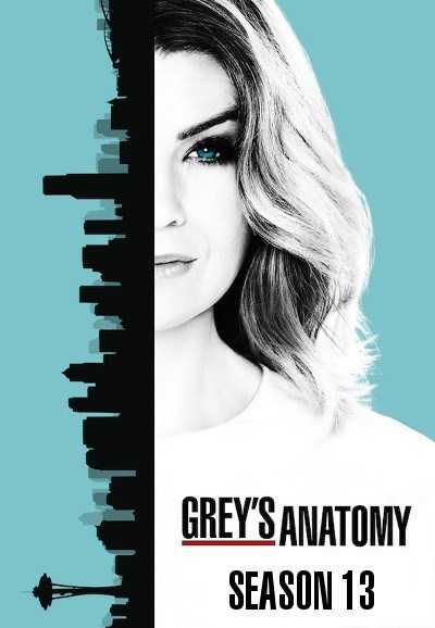 مشاهدة مسلسل Greys Anatomy موسم 13 حلقة 12