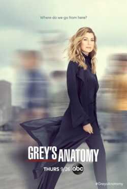 مشاهدة مسلسل Greys Anatomy موسم 16 حلقة 14