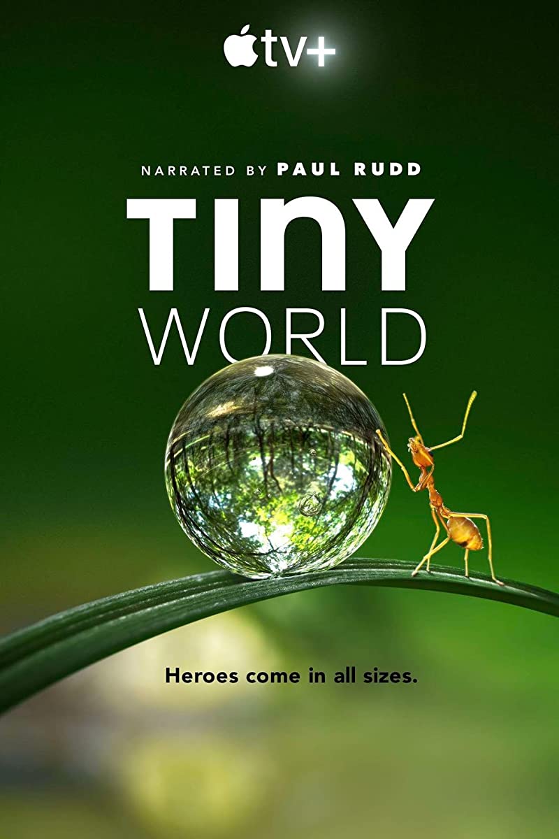 مشاهدة مسلسل Tiny World موسم 1 حلقة 3