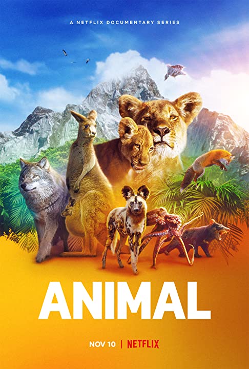 مشاهدة مسلسل Animal موسم 1 حلقة 1