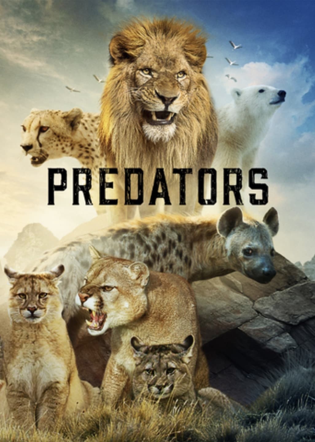 مشاهدة مسلسل Predators موسم 1 حلقة 4